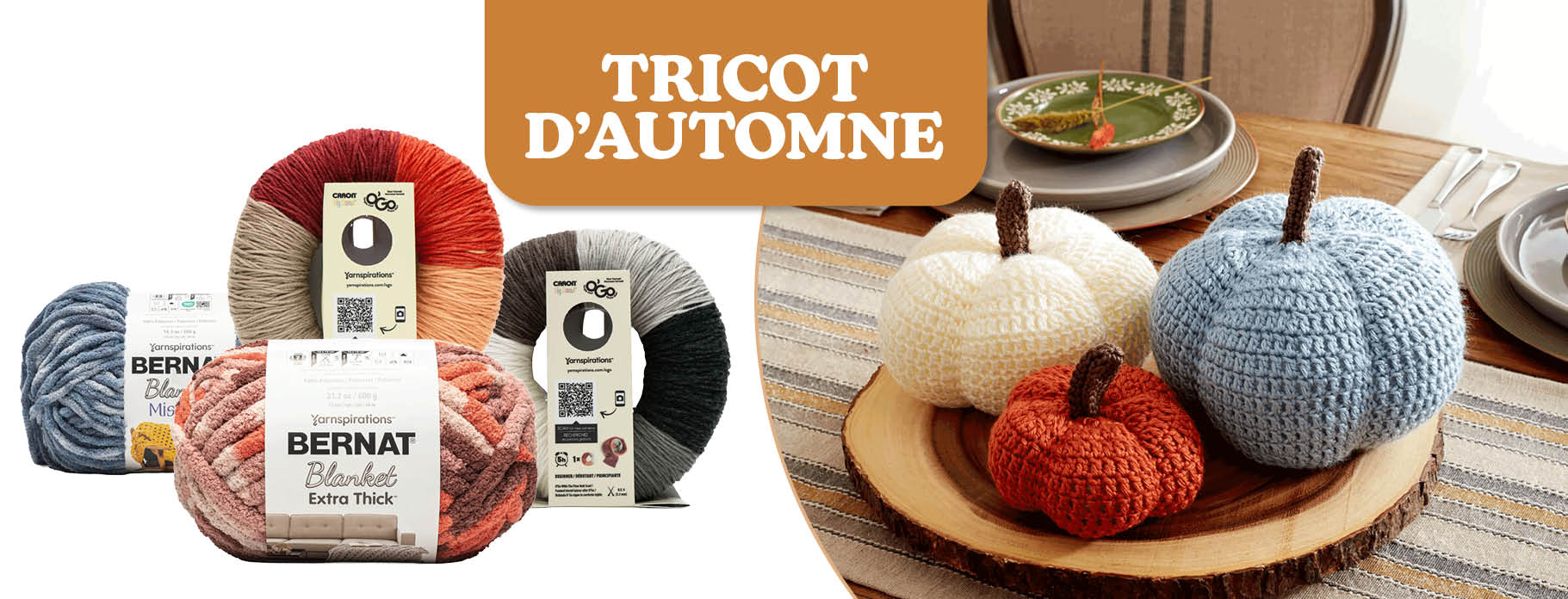 LA LAINE LA PLUS DOUILLETTE POUR L'AUTOMNE