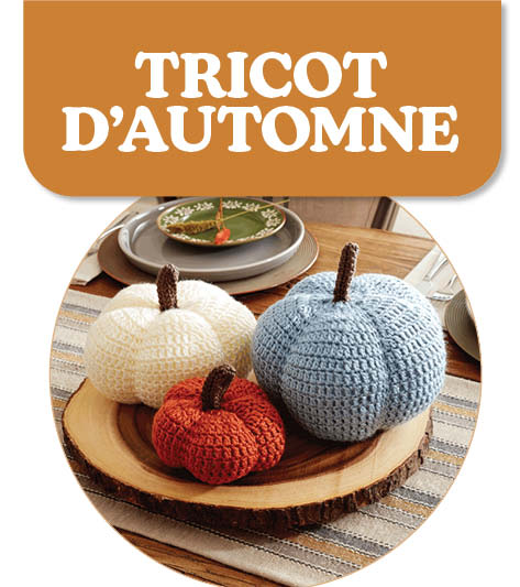 LA LAINE LA PLUS DOUILLETTE POUR L'AUTOMNE