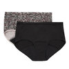 Hanes - Fresh & dry briefs, 2 pairs - 4