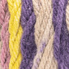 Red Heart Super Easy Striped - Laine acrylique, Iris en fleur - 2