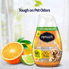 Renuzit - Air Freshener - Clean citrus pet, 198g - 2