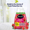 Renuzit - Air Freshener - Forever rasberry, 198g - 2