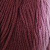 Red Heart Super Saver - Yarn, anemone ombre - 2
