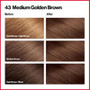 Revlon - Colorsilk Beautiful Color, permanent hair colour - 46 Medium Golden Chestnut Brown - 3