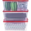 Set of 3 clear storage totes, 19.4L - 3