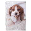 Chiot beagle, petit cahier spirale, 160 pages