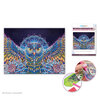 Diamond painting canvas art kit, 12"x16" - Night owl - 2