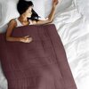 Premium ultra soft therapeutic microfiber weighted blanket, 40"x60"
