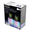 Brookstone -  LED Cube with succulent - pk. of 2
