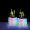 Brookstone -  LED Cube with succulent - pk. of 2 - 2