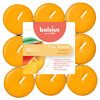 Bolsius - Bougies chauffe-plat parfum&eacute;es True Scents, paq. de 18 - Mangue - 2