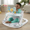 Fisher-Price - Deluxe Sit-Me-Up floor seat pebble stream, baby chair - 2