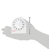 Sunbeam - Minuterie de 60 minutes - 3
