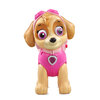 VTech - Paw Patrol - Skye to the Rescue, French edition - 9