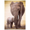 Eurographics - Elephant & Baby, 300 pcs - 3
