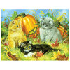 KI - Puzzle - Linda Picken - Fluffy Kittens with Pumpkin, 550 pcs - 2