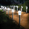 Solar stake lights, Pk. of 6 - 3