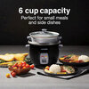 Proctor Silex - Rice cooker, 6 cups - 4
