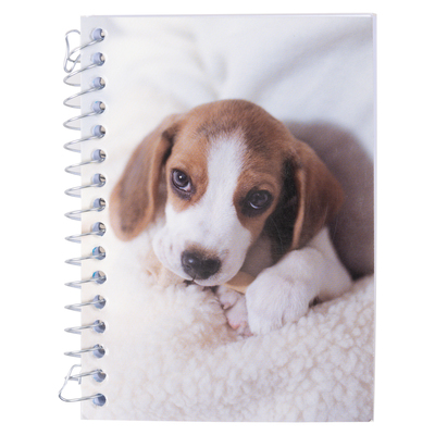Beagal puppy, spiral mini notebook, 240 pages