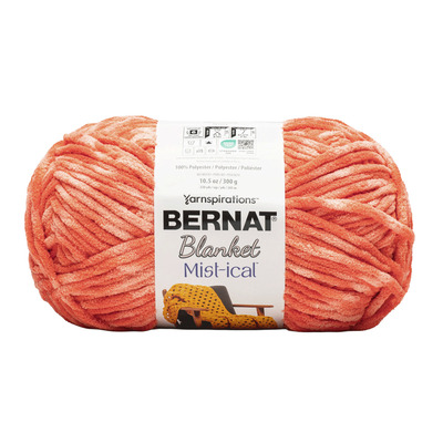 Bernat Blanket Mist-lical - Fleur de cactus