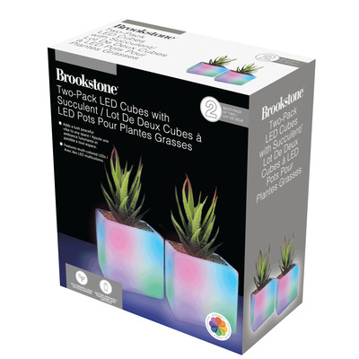 Brookstone - Cube LED avec plantes grasses - pk. de 2