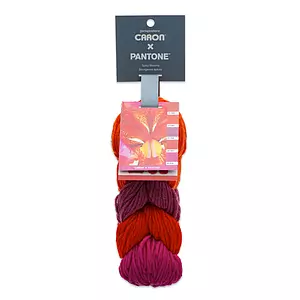 Caron X Pantone - Yarn, spicy blooms