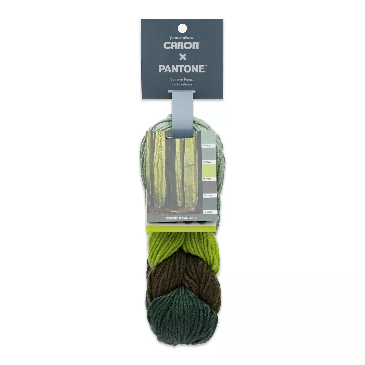 Caron X Pantone - Yarn, Summer forest