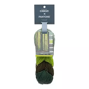 Caron X Pantone - Yarn, Summer forest