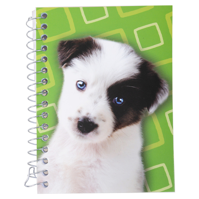 Chiot husky, mini cahier spirale, 240 pages