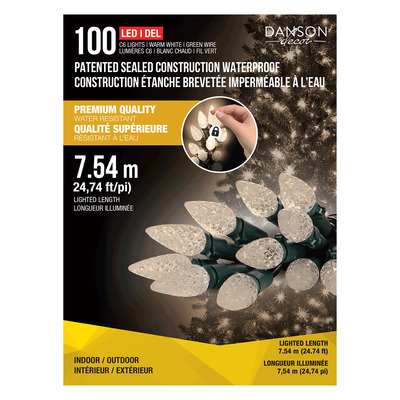 Danson - Christmas string lights, 100 LED lights