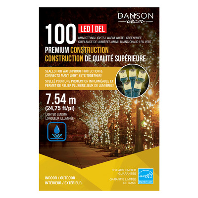 Danson - Christmas string lights, 100 LED lights