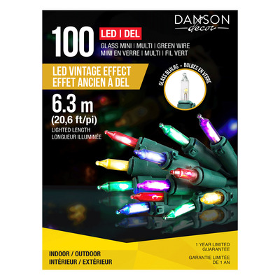 Danson - Mini Christmas string lights, 100 LED lights