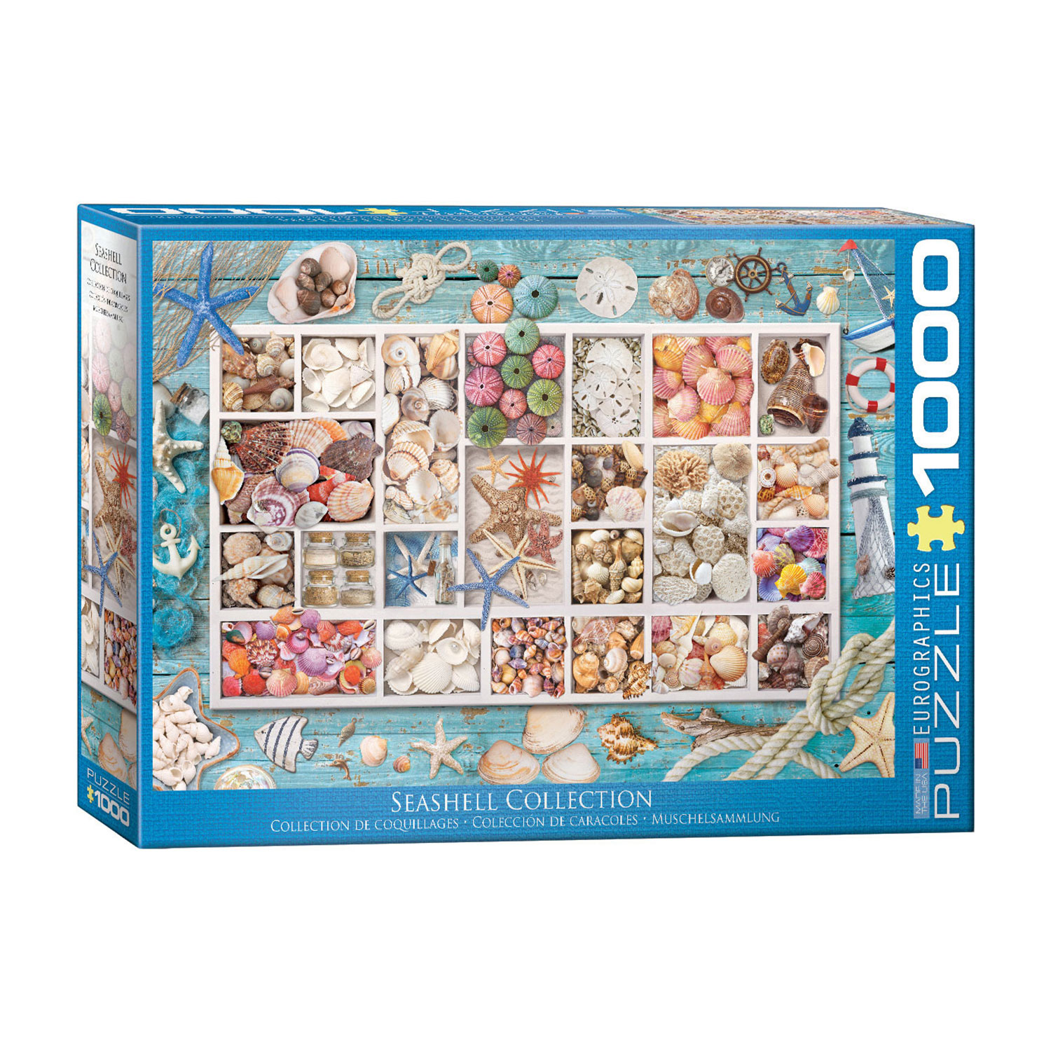 Eurographics - Puzzle, Collection de coquillages, 1000 mcx