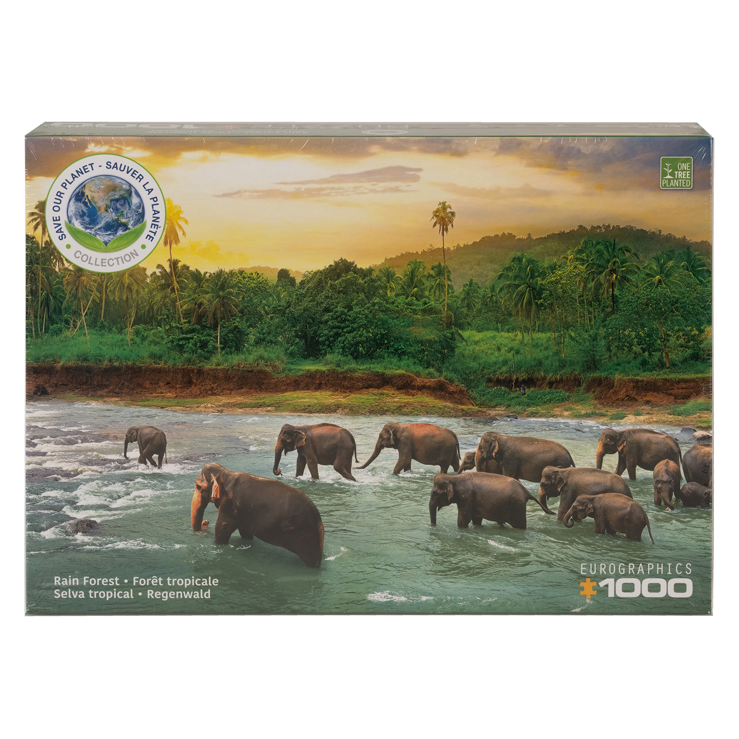 Eurographics - Rain Forest, 1000 pcs