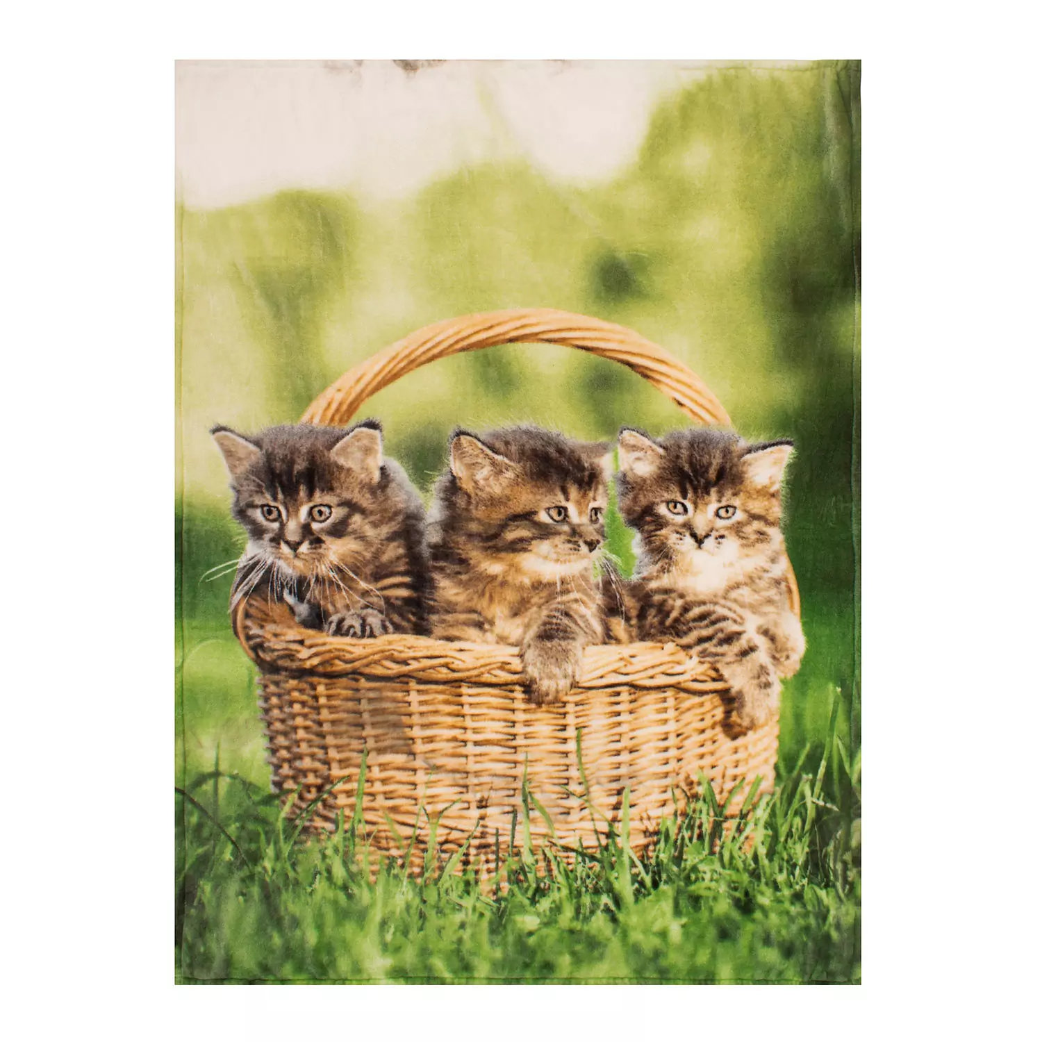 Printed micro mink throw, 48"x60", kittens in basket