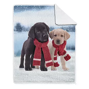 Printed photoreal throw with sherpa backing, 2 puppies in scarves, 48"x60"