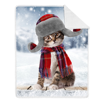 Printed photoreal throw with sherpa backing, 48"x60" - Kitten in aviator hat