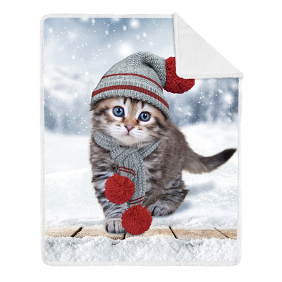 Printed photoreal throw with sherpa backing, 48"x60" - Kitten with toque