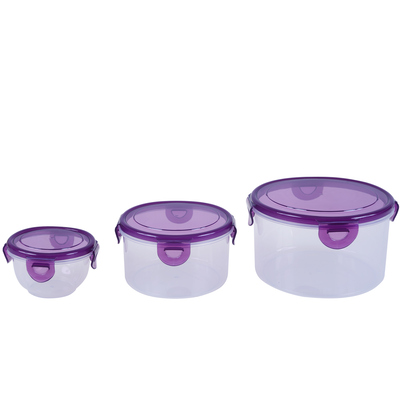 Set of 3 nesting food containers with snap lock lids - Purple
