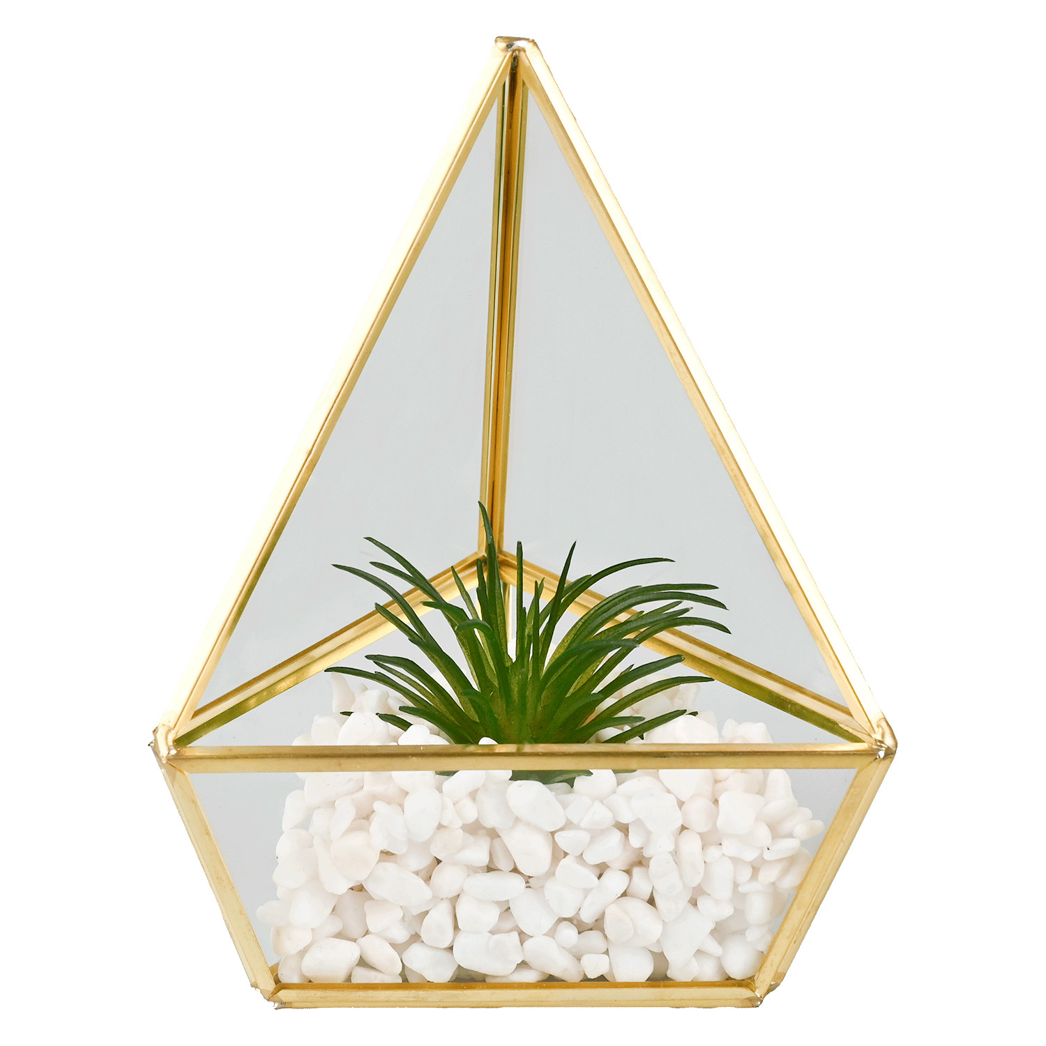 Succulents glass terrarium
