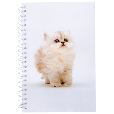 White kitty, small spiral notebook, 160 pages